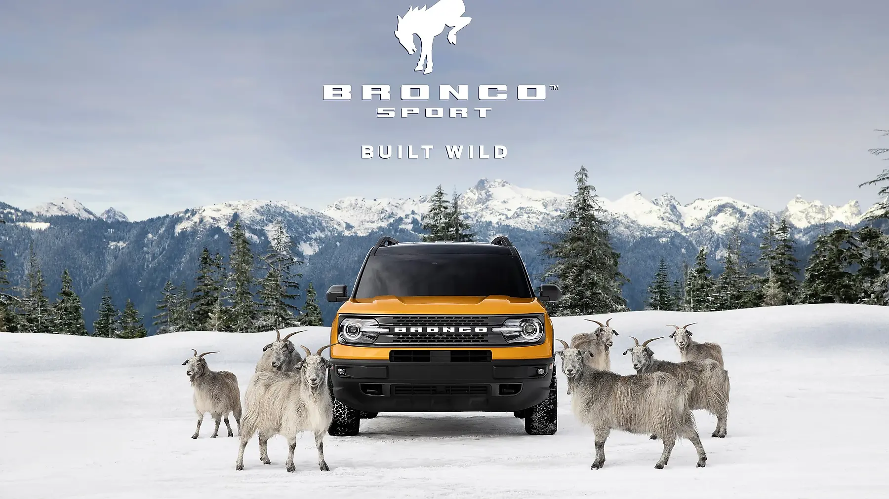 Ford Bronco Ad (Texan)